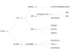 2025年肉鸭行业前景分析：肉鸭行业发展趋势进一步提升数字化水平