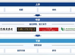 2025年菊花市场前景分析：药用菊花市场占据主导地位