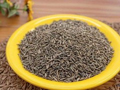 2025年玉米投资分析及现状分析：鲜食玉米产业链驱动乡村振兴