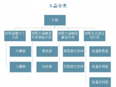 2025年大蒜行业政策分析：我国大蒜产业政策实现全链条数字化监管