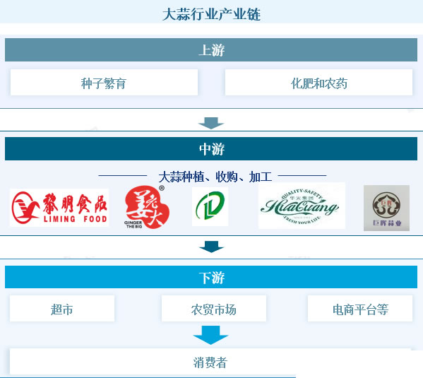 2025年大蒜行业政策分析：我国大蒜产业政策实现全链条数字化监管