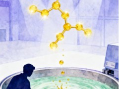 2025年维生素c行业现状分析：全球婴配市场添加量突破3.2万吨