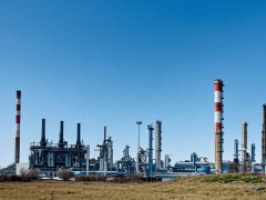 2025年全球蛋白质技术创新洞察：癌症治疗与细胞清除技术突破性进展