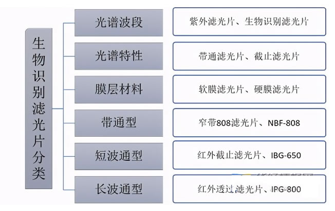 2025年生物识别滤光片市场规模分析：全球生物识别滤光片市场将突破92.3亿美元
