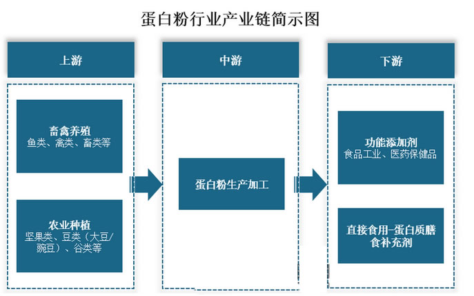 2025年蛋白粉市场规模分析：中国蛋白粉市场将顺利突破420亿元大关
