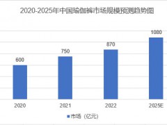 2025年瑜伽裤市场分析：中国瑜伽裤市场规模达到1080亿元
