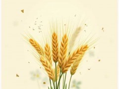 2025年中国麦芽产业现状与发展趋势分析（含核心数据）