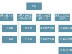2025年大蒜行业前景分析：大蒜行业发展趋势实现可持续发展