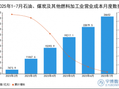 2025年1-7月石油、煤炭及其他燃料加工业营业成本统计分析
