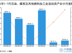 2025年1-7月石油、煤炭及其他燃料加工业流动资产合计统计分析