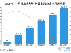 2025年1-7月橡胶和塑料制品业营业成本统计分析