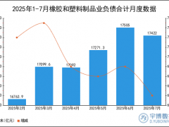 2025年1-7月橡胶和塑料制品业负债合计统计分析