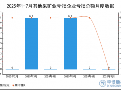 2025年1-7月其他采矿业亏损企业亏损总额统计分析