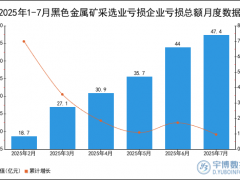 2025年1-7月黑色金属矿采选业亏损企业亏损总额统计分析