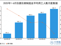 2025年1-6月仪器仪表制造业平均用工人数统计分析