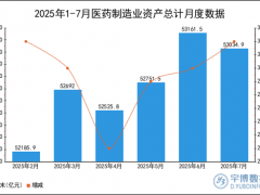 2025年1-7月医药制造业资产总计统计分析