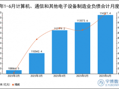2025年1-6月计算机、通信和其他电子设备制造业负债合计统计分析
