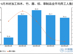 2025年1-6月木材加工和木、竹、藤、棕、草制品业平均用工人数统计分析