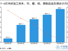 2025年1-6月木材加工和木、竹、藤、棕、草制品业负债合计统计分析