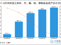 2025年1-6月木材加工和木、竹、藤、棕、草制品业资产总计统计分析