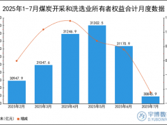 2025年1-7月煤炭开采和洗选业所有者权益合计统计分析