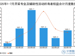 2025年1-7月开采专业及辅助性活动所有者权益合计统计分析