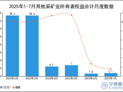 2025年1-7月其他采矿业所有者权益合计统计分析