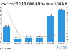 2025年1-7月黑色金属矿采选业所有者权益合计统计分析